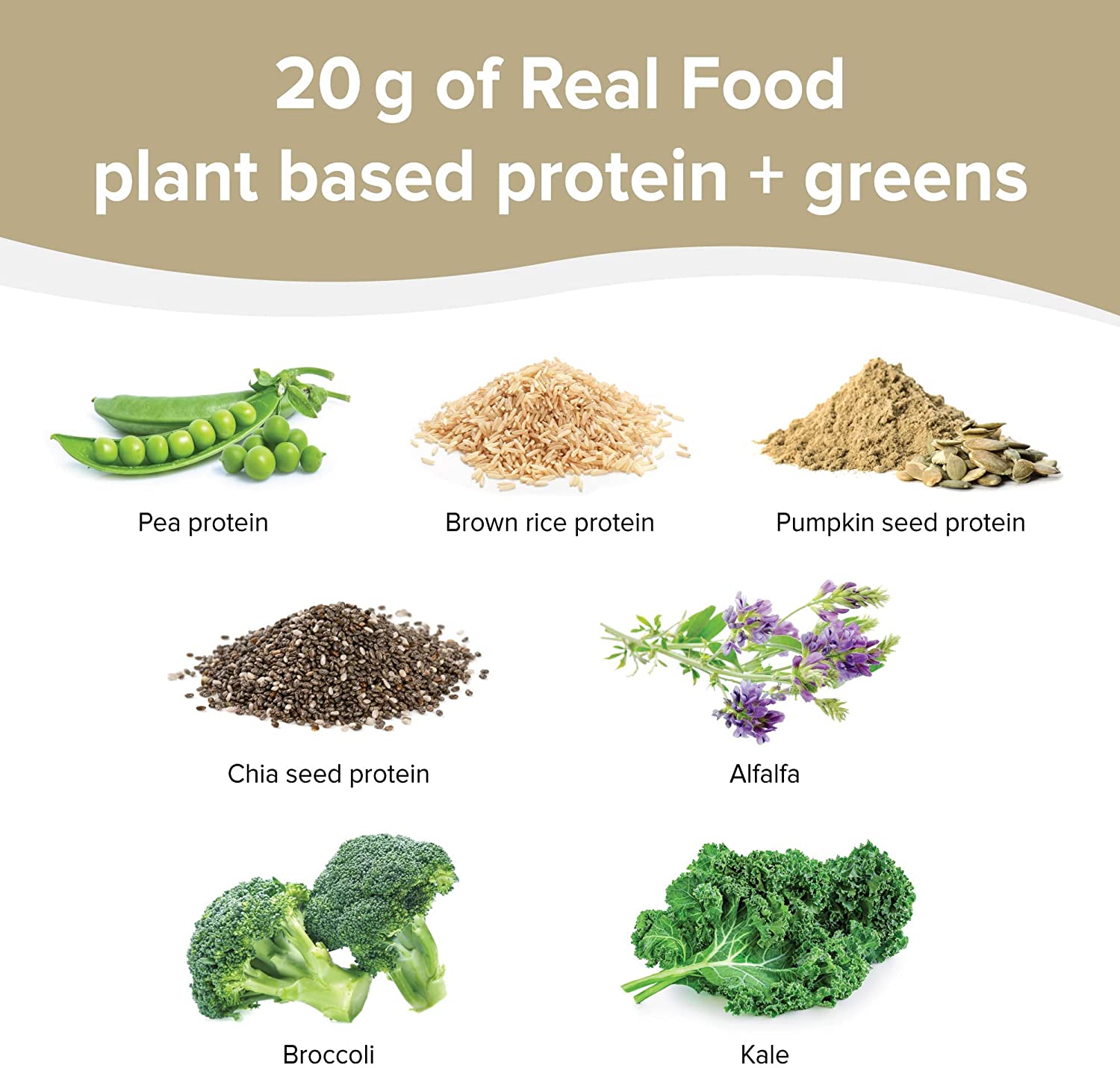 Plant-Based Protein for Weight Loss: The Best Protein Sources for Vegans and Vegetarians